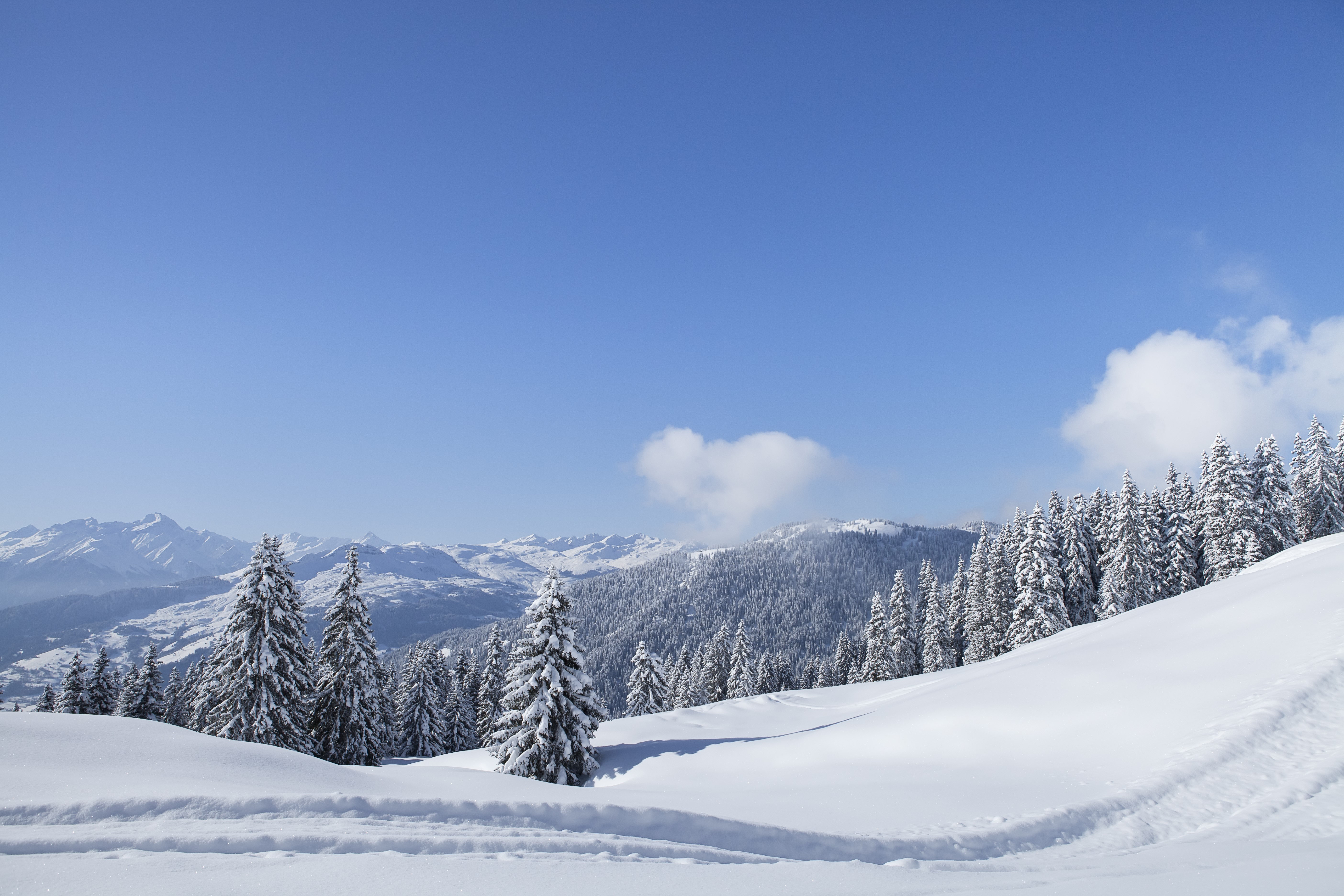 Alpen Home Winter Trees In Mountains | Wayfair.co.uk