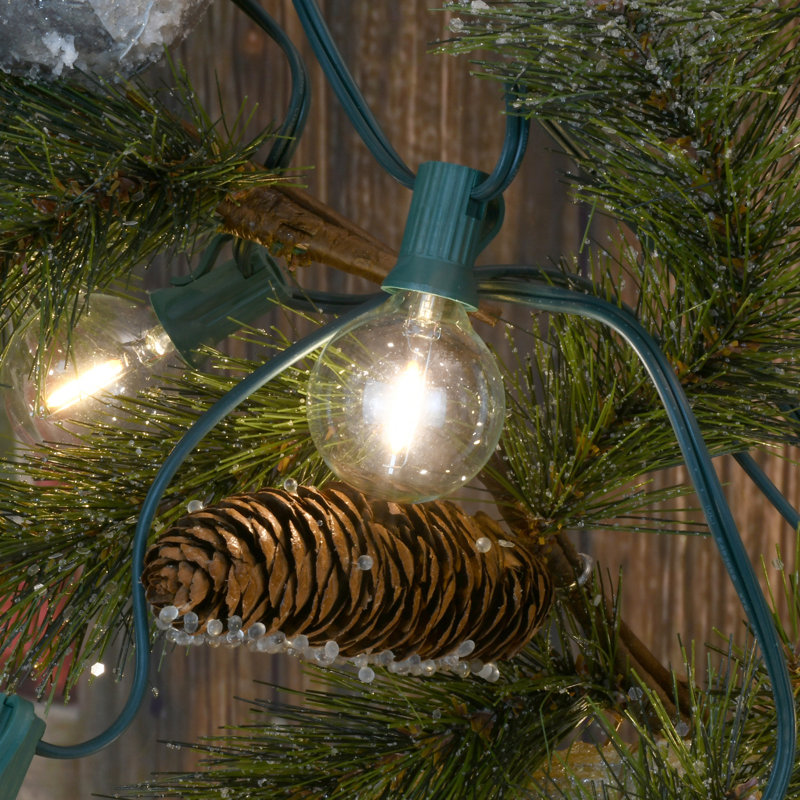 Bailey-Mai Electric LED Globe String Lights with 25 Clear Bulbs