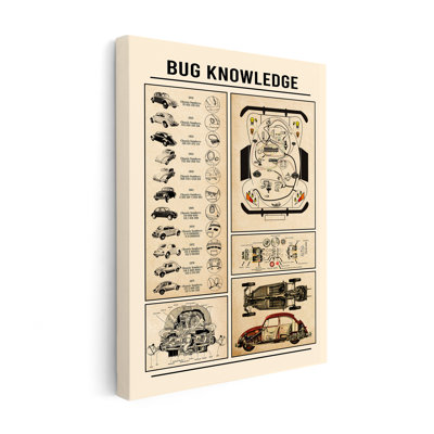 Bug Knowledge