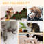Grattoir pour chat brun, 4, pour chats d'intérieur bien élevés, poteau réversible, paquet de 4 meubles froids, brunâtre, dommages