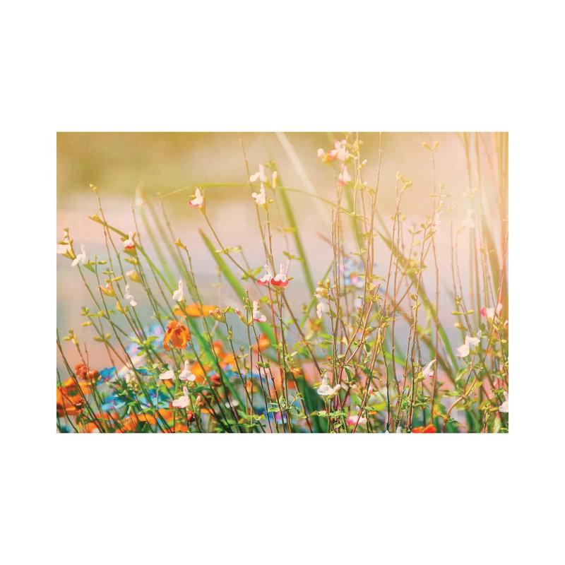 Field Of Flowers by MScottPhotography - Wrapped Canvas Print, 20.32cm H x 30.48cm W x 1.9cm D