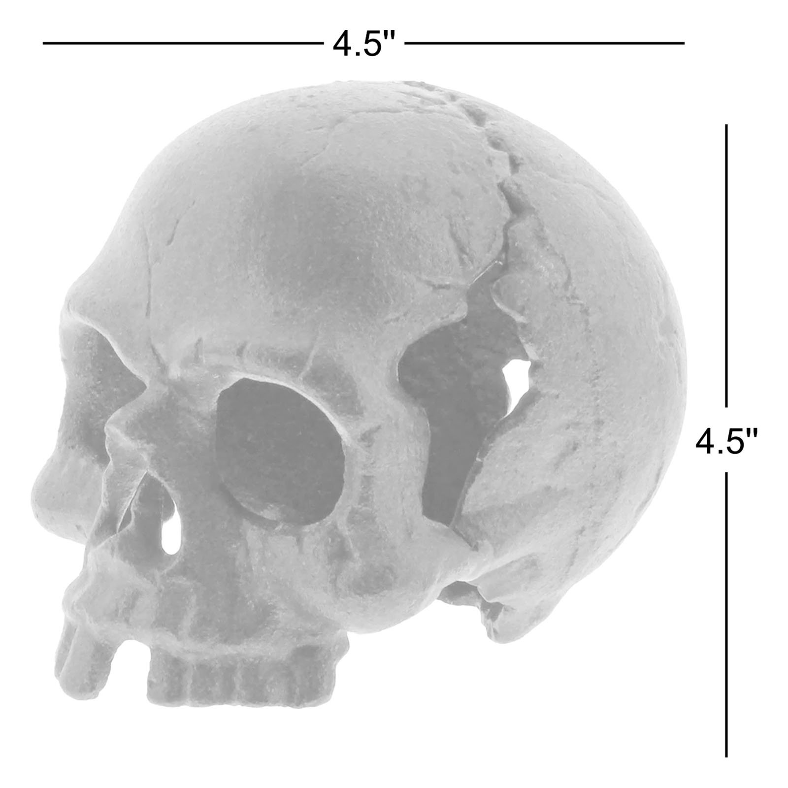 Samara Decorative Object