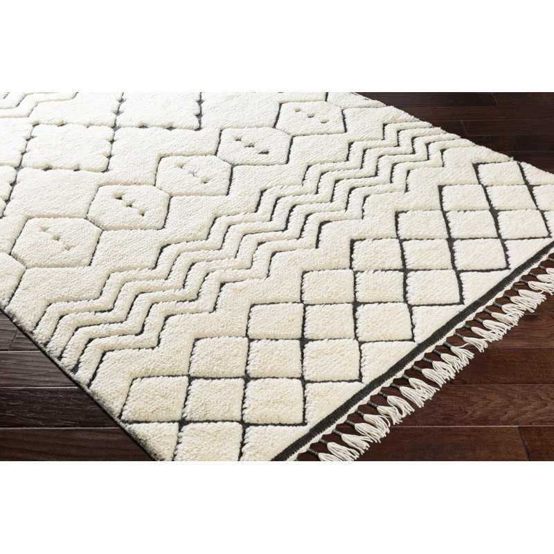 Meknes Wool Southwestern Area Rug, Rectangle 2' x 3'