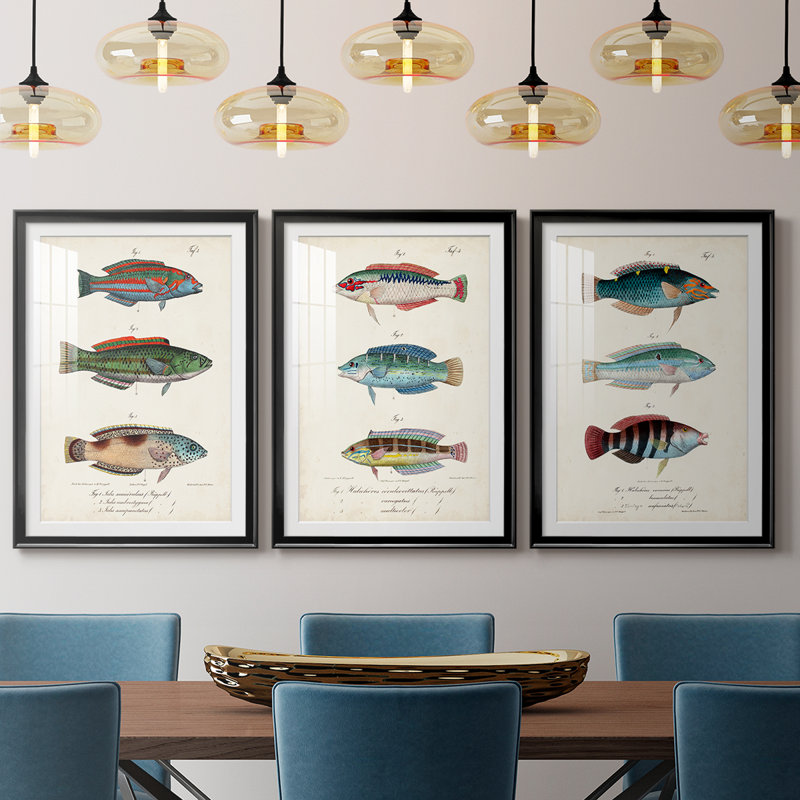 Antique Fish Trio I - Impression personnalisée de qualité supérieure avec cadre mat - 3 pièces, H 15 po x l 19 po, Noir