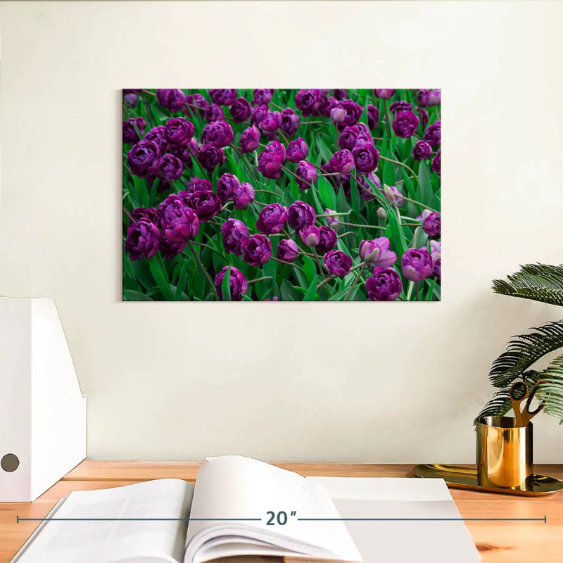 Alvord Violet Tulips, 8" H x 12" W