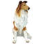 Figurine pour chien Long - Haired Collie