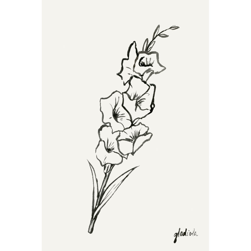 Gladiola Sketch II by Grace Popp - Drawing Print, 30 cm H x 20 cm W, Wrapped Canvas