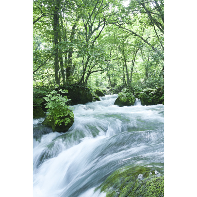 Mountain Stream Flow by Ooyoo - Wrapped Canvas Print, 91cm H x 61cm W x 3.8cm D