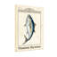 Animaux, impression rétro de poissons-1077781342