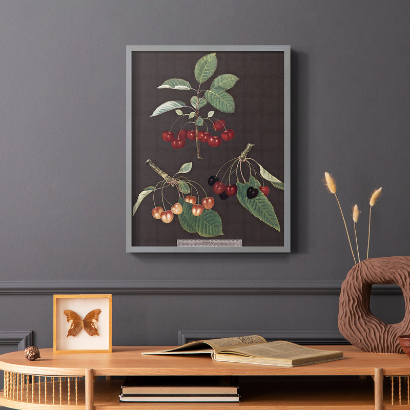 Brookshaw Cherries, reproduction encadrée - bois massif, Gris, H 10 po x l 8 po