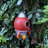 Rocket Bird House