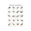 «British Song Birds» par Michelle Campbell - impression d'art graphique-52542282-52542283-52542284