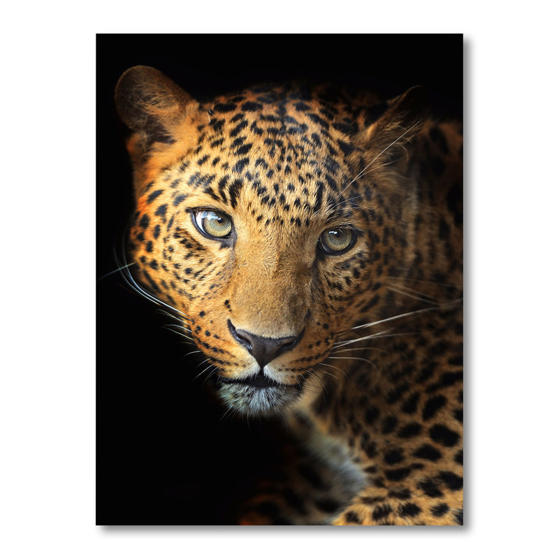 Portrait d'un léopard IV - reproduction sur toile, H 32 po x l 24 po, Toile tendue