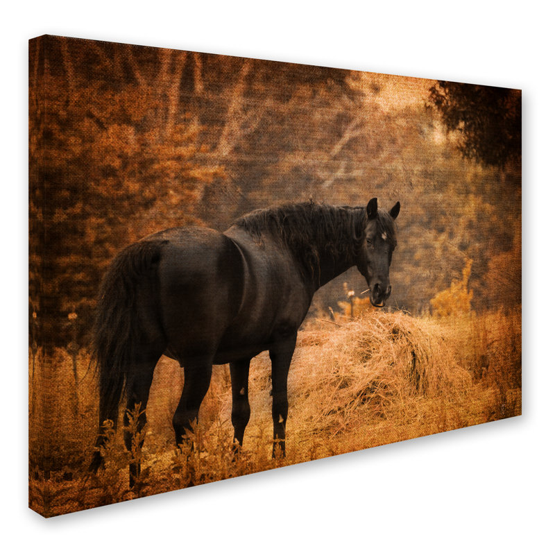 «Horse and the Haystack», impression sur toile tendue Vidur, H 24 po x l 32 po