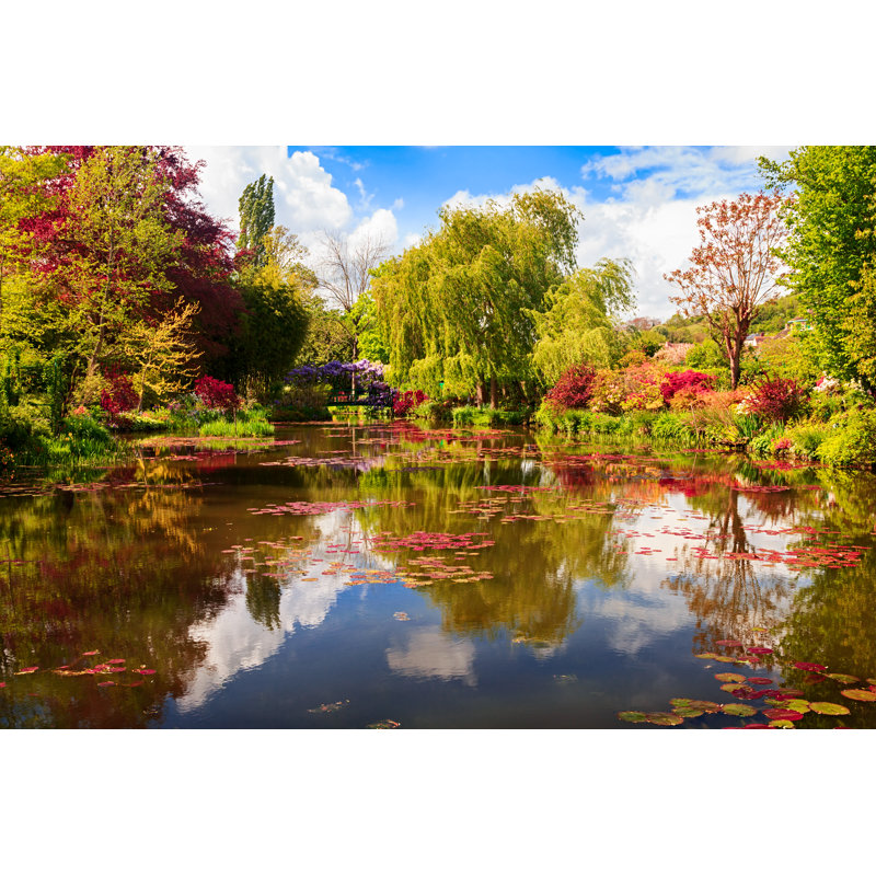 Small Pond With Lilies by Rusm - Wrapped Canvas Print, 20cm H x 30cm W x 3.8cm D