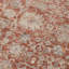  Tapis botanique Albany-307906373