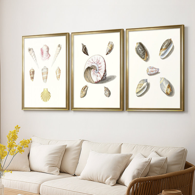 Pastel Knorr Shells I - Toile tendue avec châssis sur mesure - 3 pièces, H 21 po x l 30 po, Doré