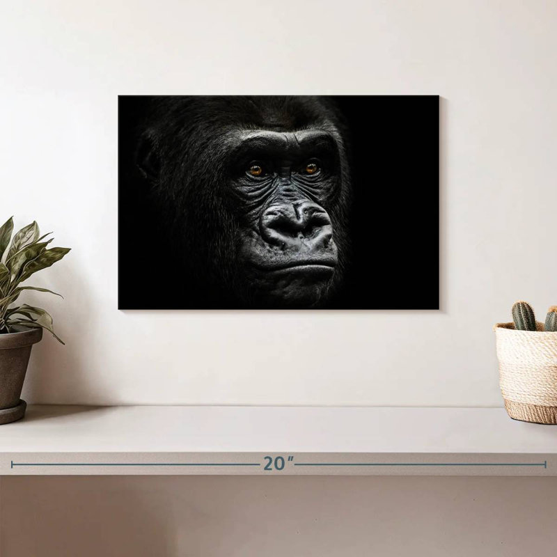 Gorilla Portrait Close Up, 8" H x 12" W