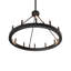 12 - Light Chandelier