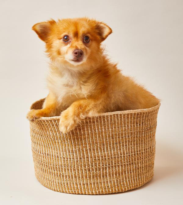 Banana Leaf Floor Basket in