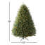 Arbre de Noël Albric North Valley-2128313200