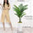 60 '' modern style white square basin artificial palm tree set, Faux Plant(Set Of 2)