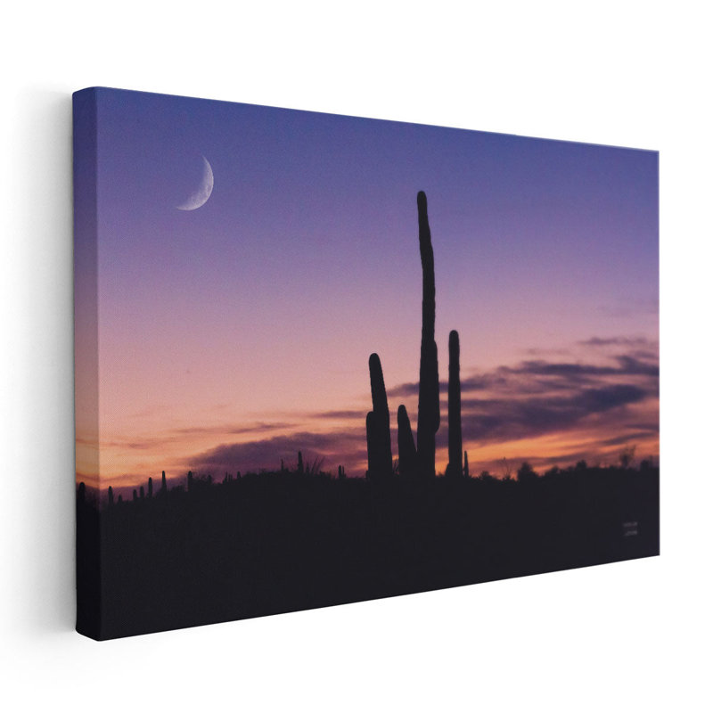 Desert Moons - reproduction d'art sur toile, H 20 po x l 30 po