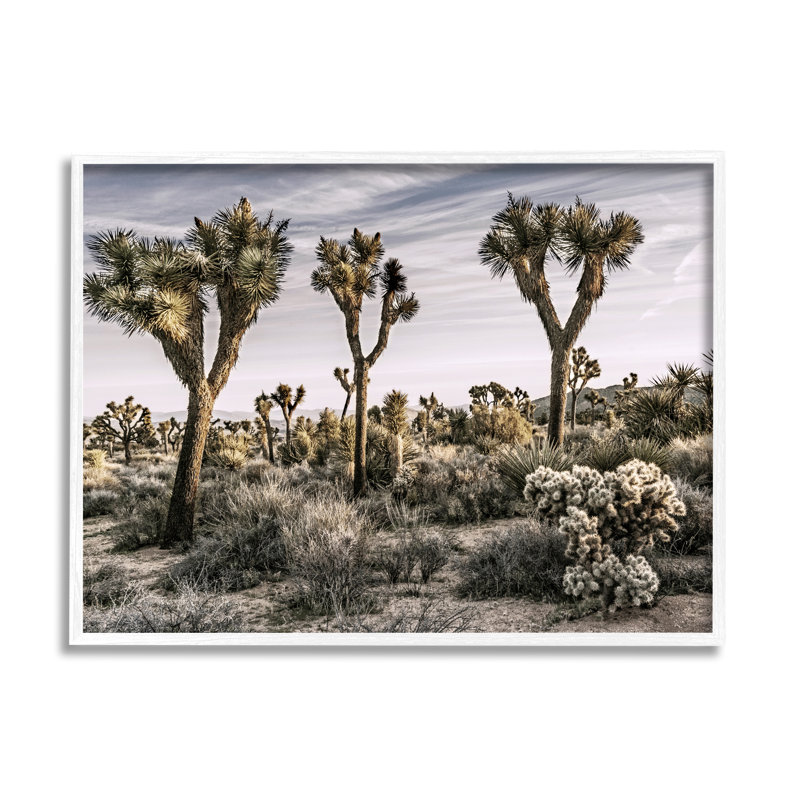 Désert cactus par Rachel Perry, Estampe numérique encadrée blanc bord de mer, H 11 po x l 14 po x P 1,5 po