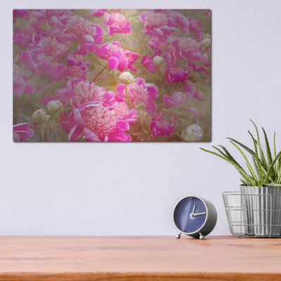 «Pinks» par Dennis Frates