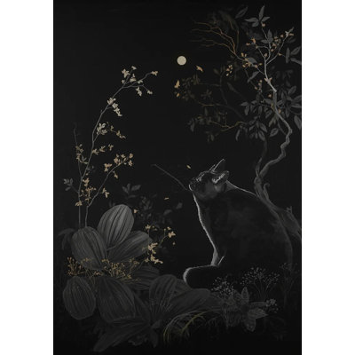 Lunar Gaze