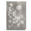 " Herbarium Study IV "-795455182