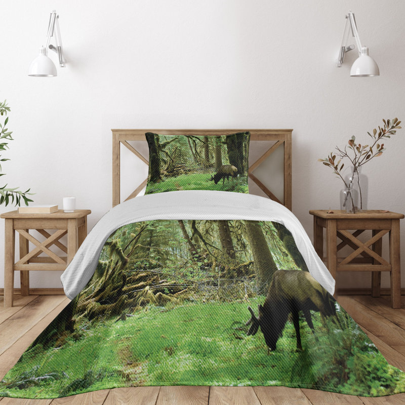 Forest Green Quilted Queen Bedspread Set with Shams