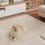 Tapis beige à poils longs et courts, relief lavable à la machine-730465159