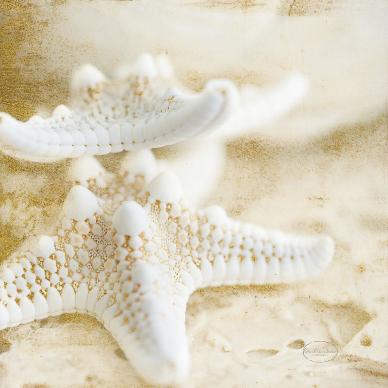Golden Seashore Stars by Brookview Studio - Wrapped Canvas Print, 30cm H x 30cm W 