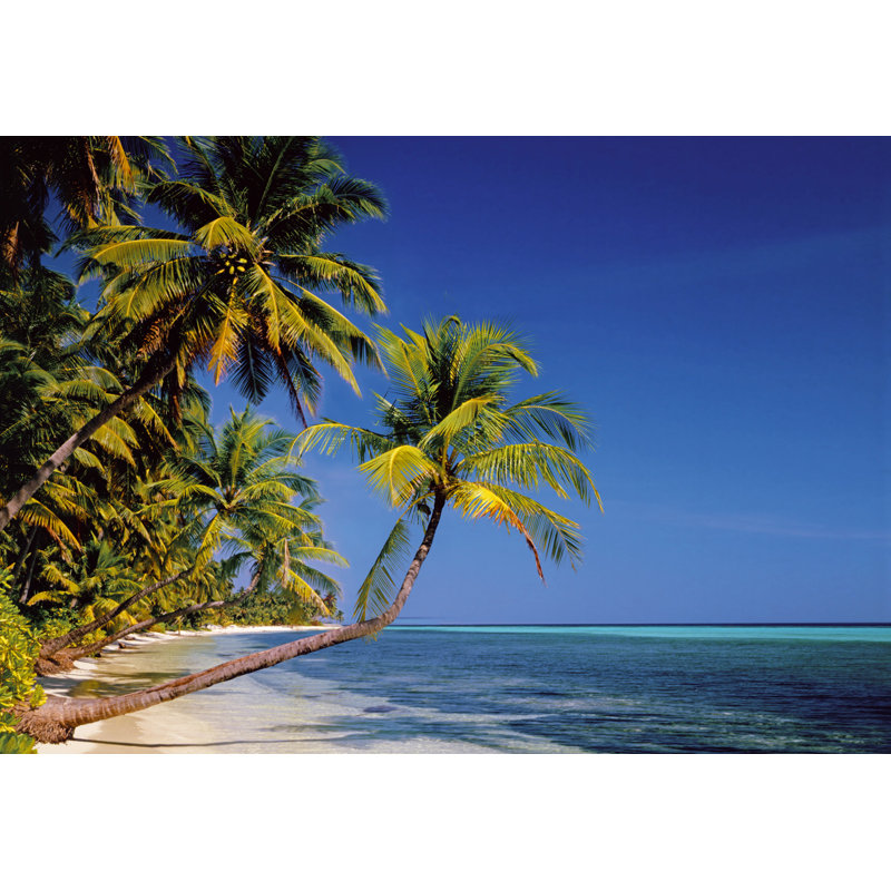 Palm Beach 4.1m x 50cm 7 Piece Wallpaper Levon