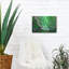 «Succulents IV» par Dennis Frates-622793534