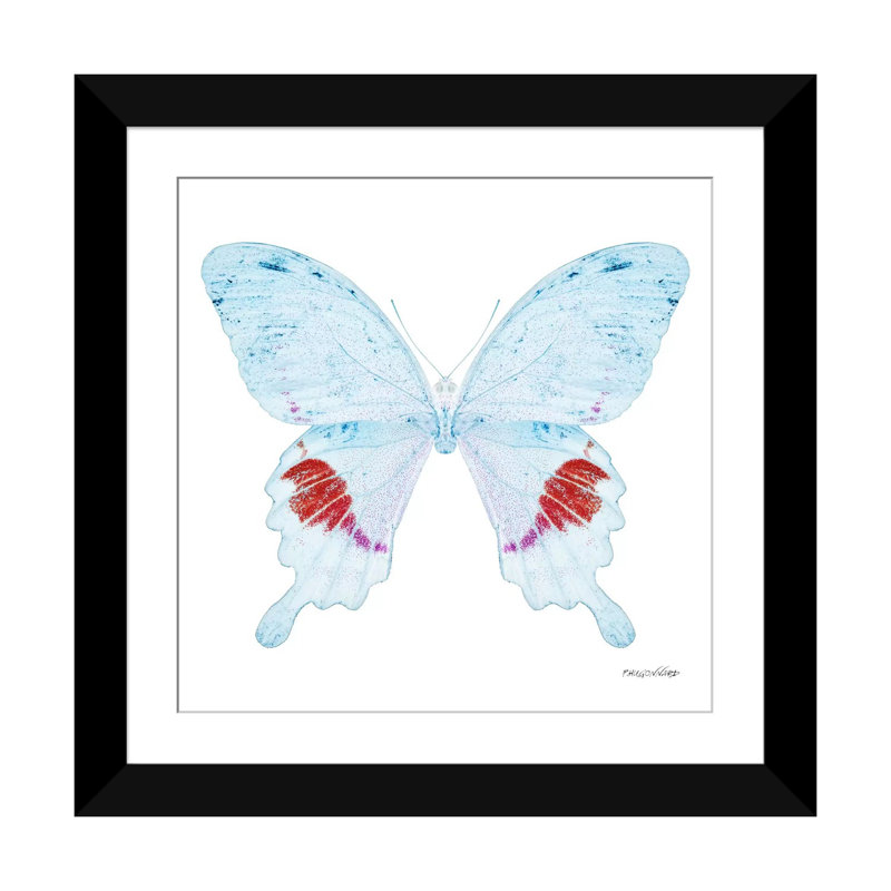 « miss papillon x-ray xxii », impression sur toile, Papier d'art encadré noir, H 24 po x l 24 po x P 1 po