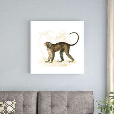 Golden Monkey - peinture sur toile tendue