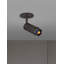 1 - Light Spotlight-2078808012