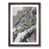Walnut Framed selected