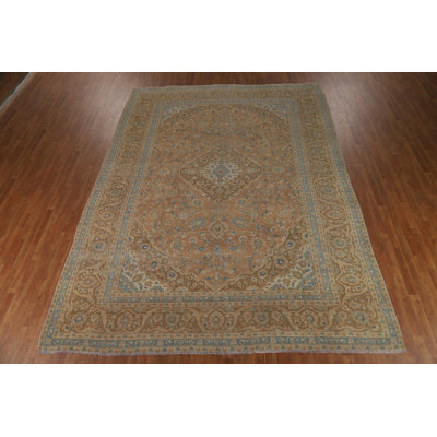 Traditional Area Rug 10x13