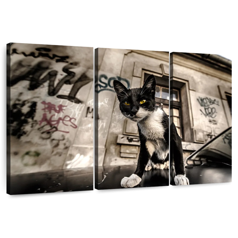 Alley Cat, 36" H x 57" W