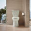 Betello 1.28 GPF (Water Efficient) Elongated Two-Piece Toilet (Seat Not Included)-39779930-44387724