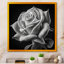 «Blossoming White Rose On Black I» - décoration murale rose