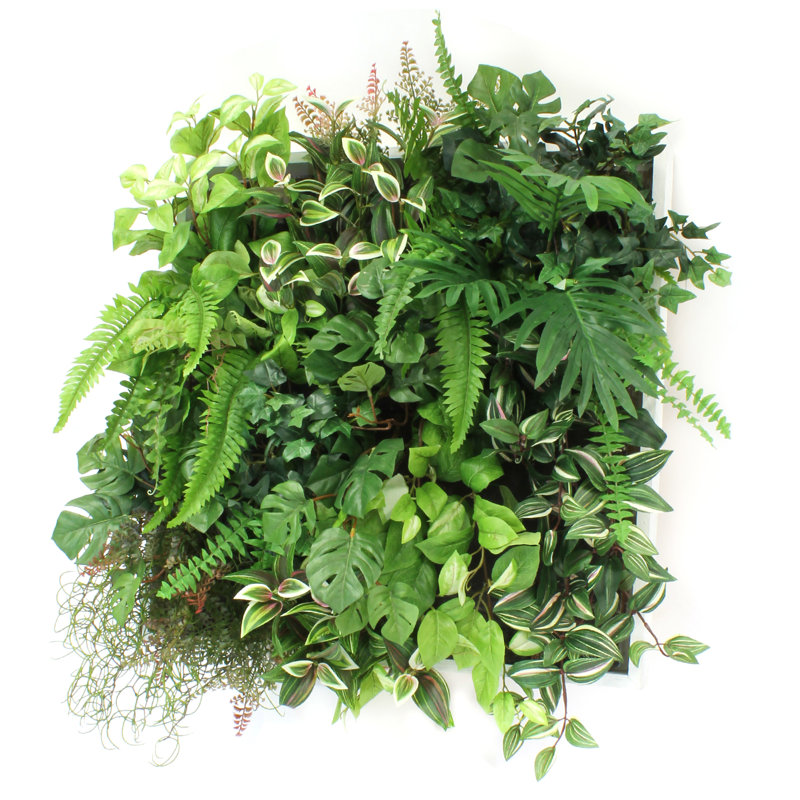 Fausse plante de feuillage de mur