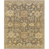 Oriental Indoor Rug