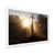 White Single Picture Framed
