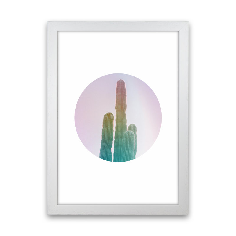 Circular Cacti - Print, 34cm H x 25cm W x 3cm D, White Framed