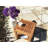 Berryessa Teak Coffee Table