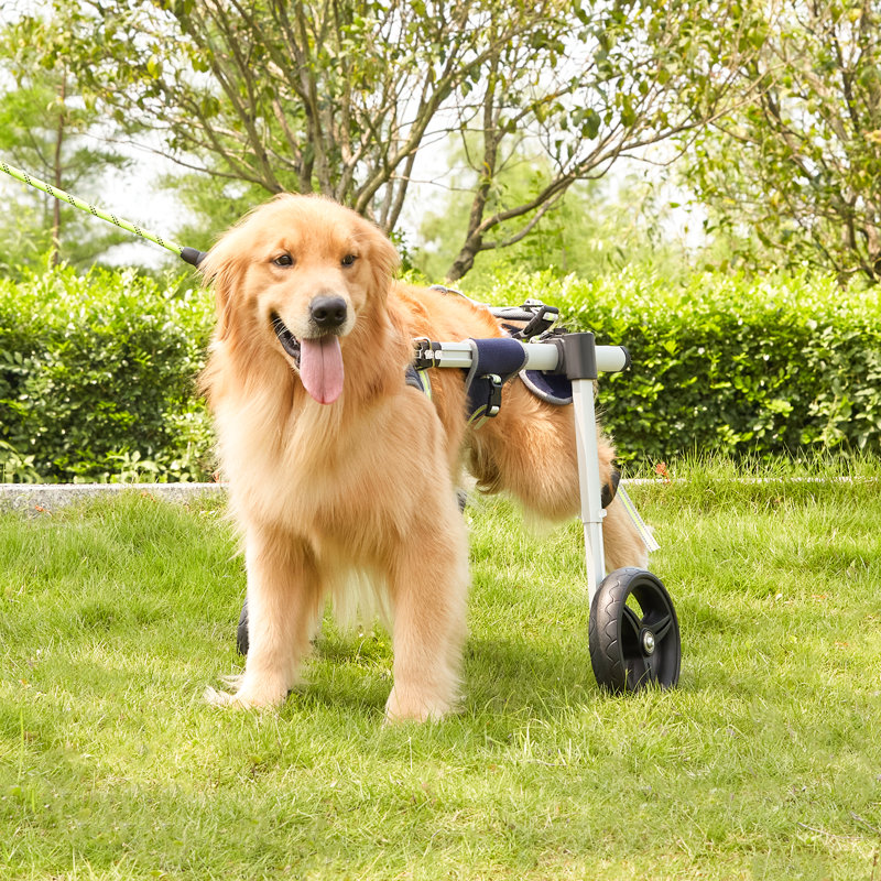 Foldable Pet Stroller